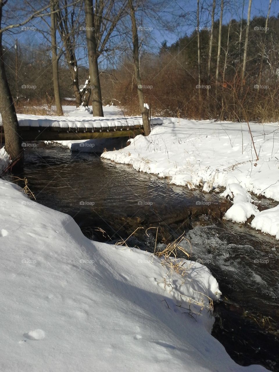 cold creek