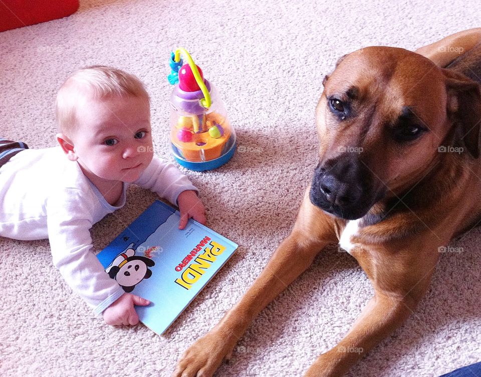 Cute baby reading with dog