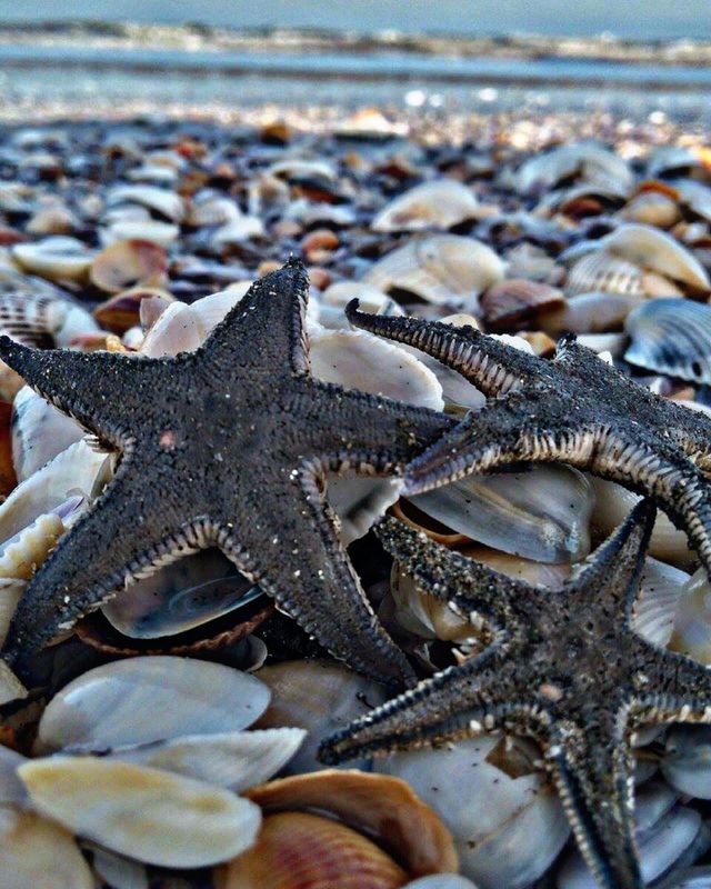 A nice Beach 