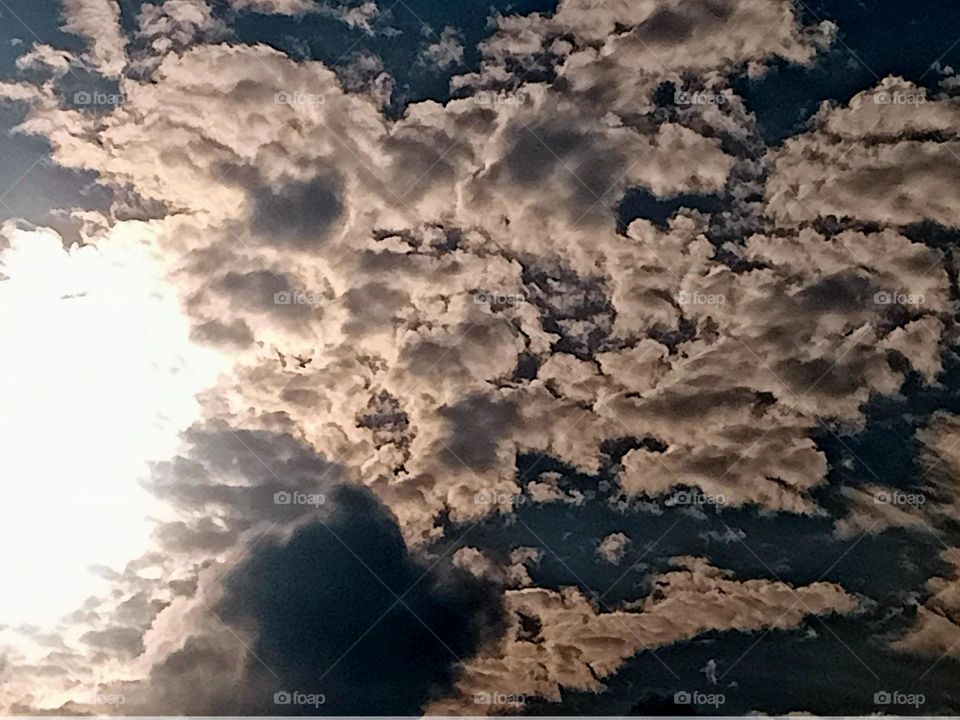 Ravarma VanguvO  / Golden clouds / Pinl beauty / Sparkling clouds / Amazing Gray