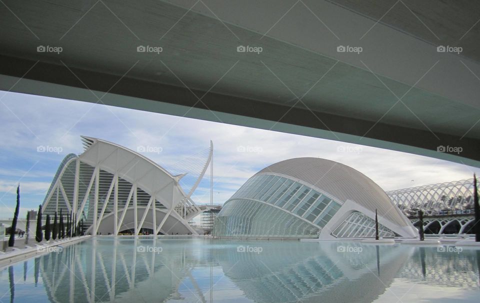 The phot was taken during a visit to the City of  arts in Valencia