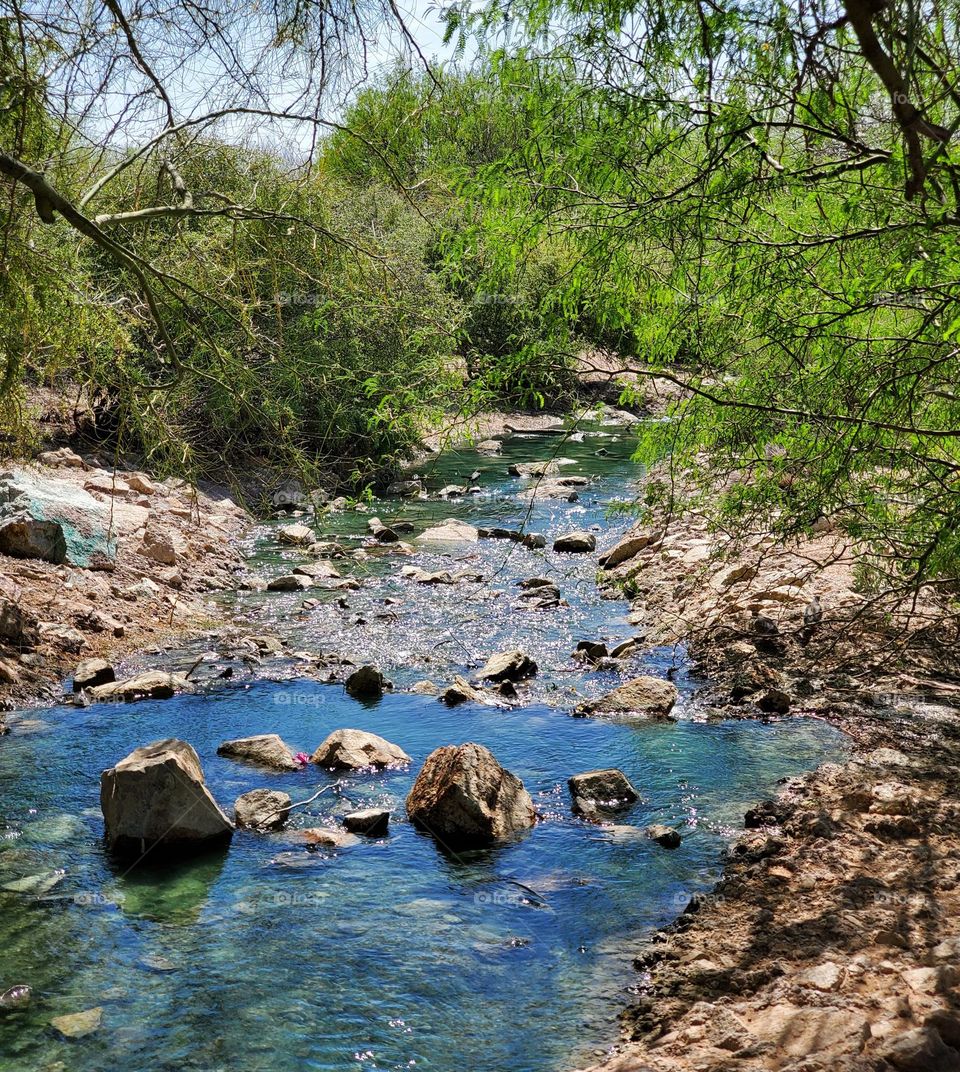 Arizona Creek on a Spring Day
