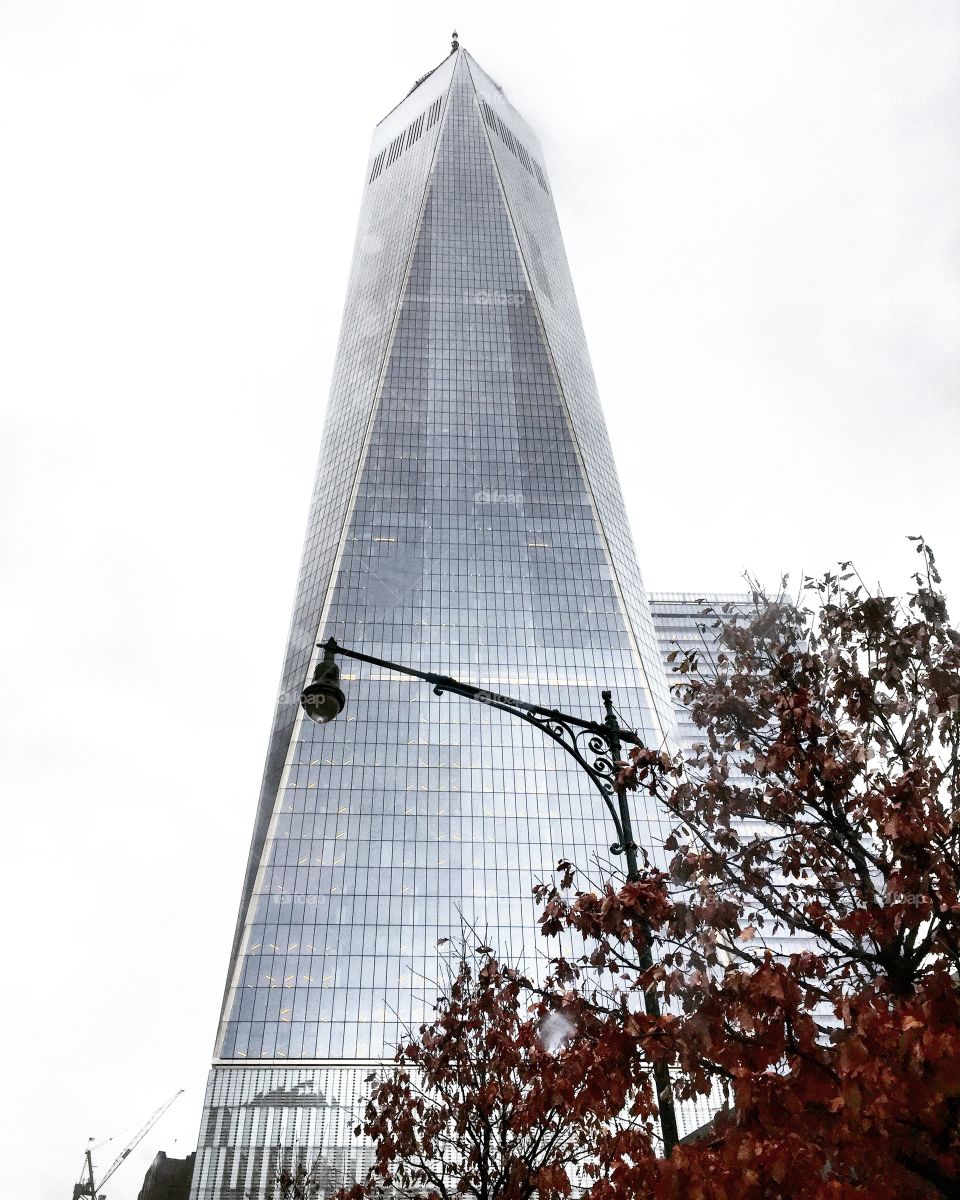 Freedom tower