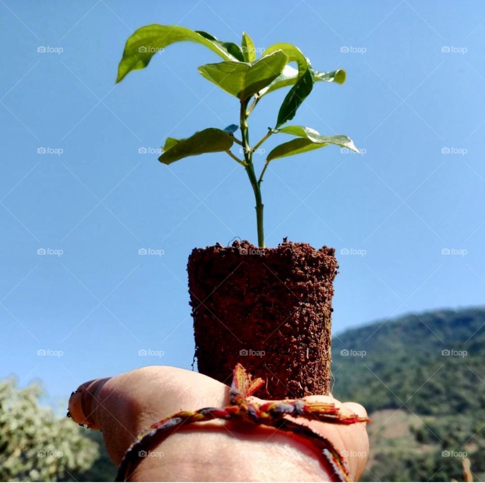 Preservar é preciso🌳