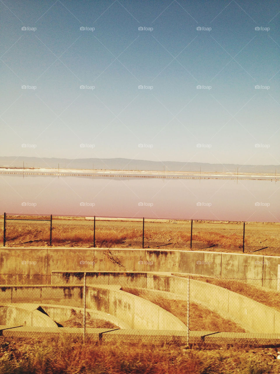 FIELD WITH PINK WATER