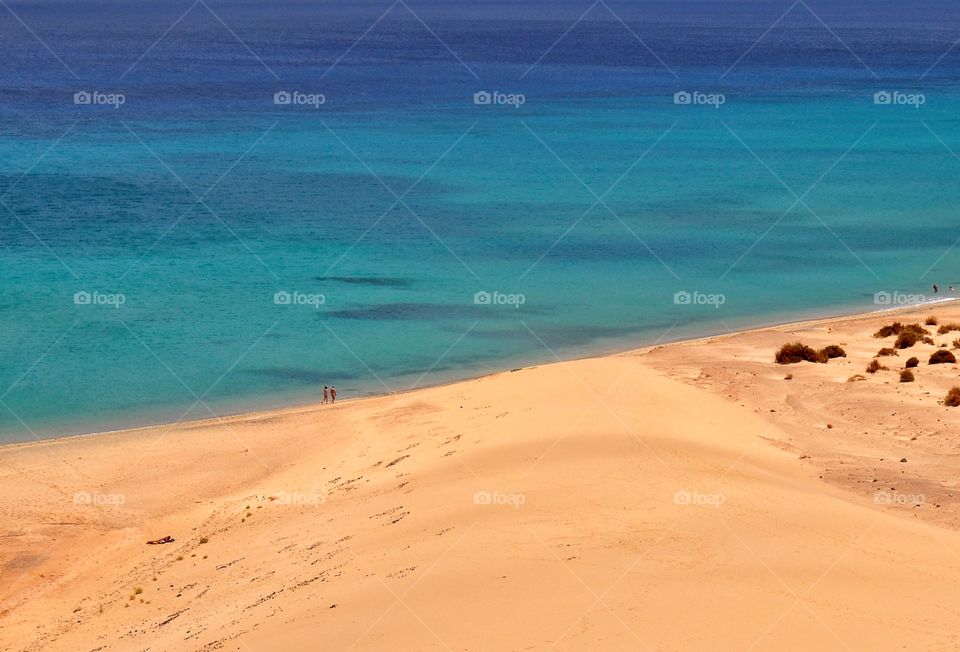 amazing sotavento beach top view on fuerteventura canary island in spain