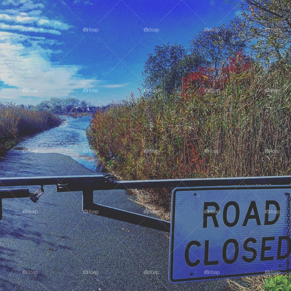 Gooseneck salt marsh. Newport Rhode Island. 