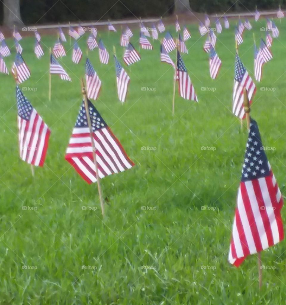 rows of us flags