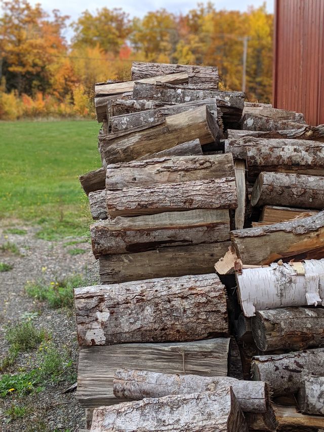 Firewood