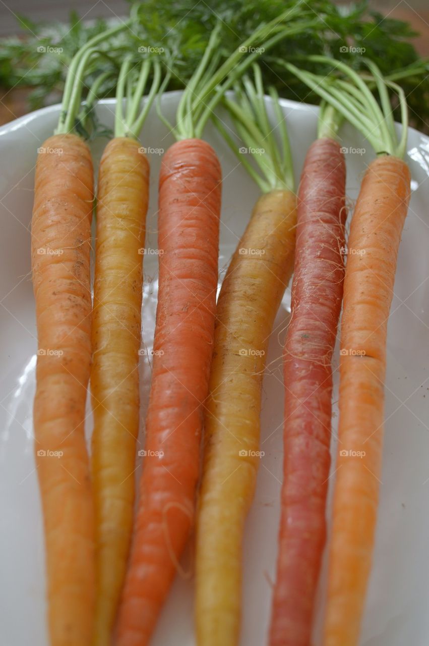 Carrots