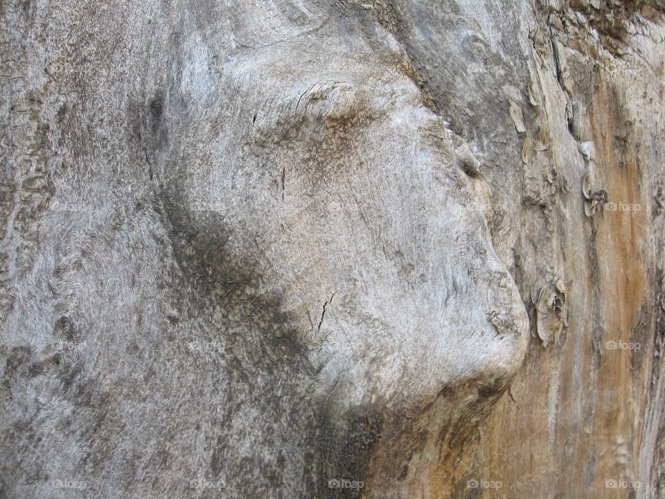 A wooden face