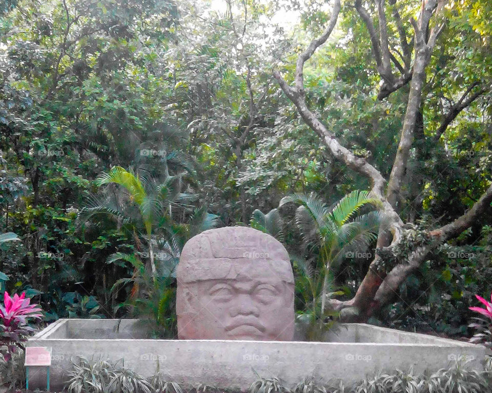 monument of an Olmec head