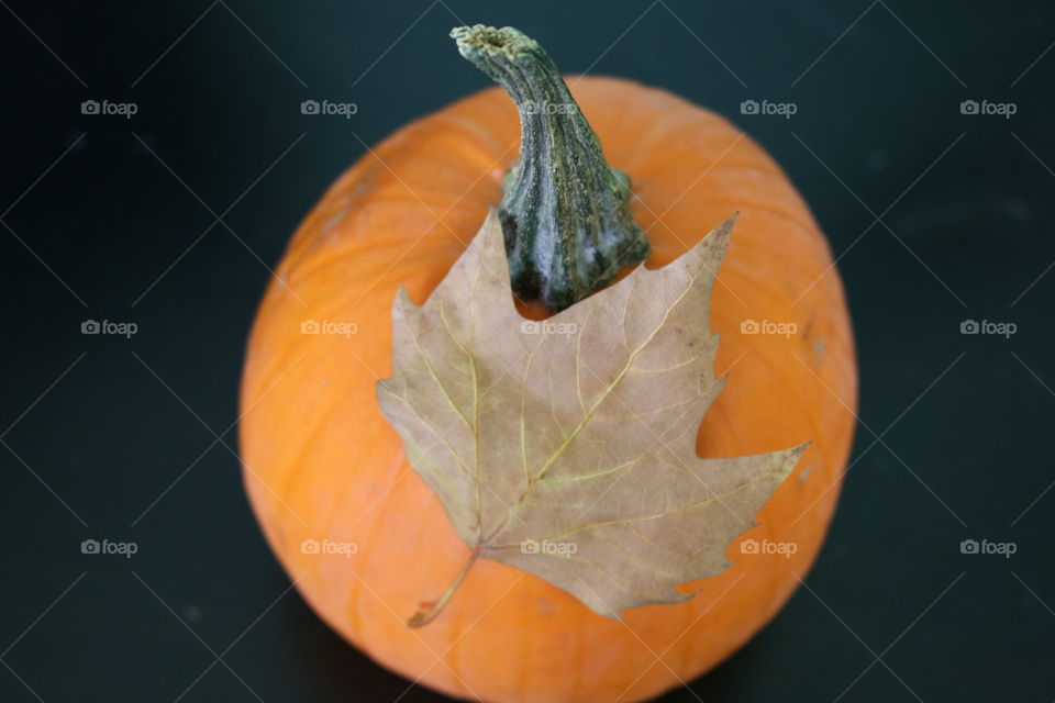 Leaf on a pumpkin