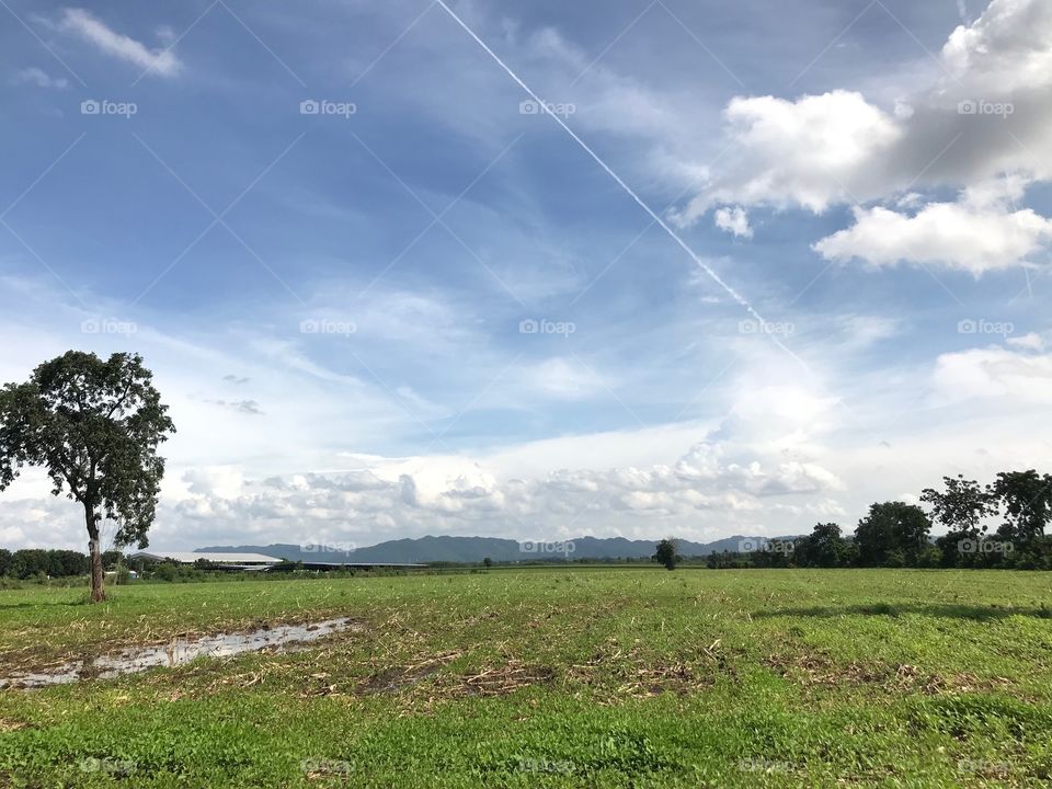 Naturopathy give you more life 