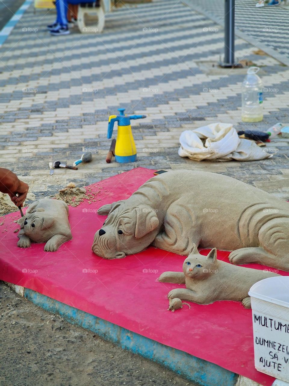 sand animals