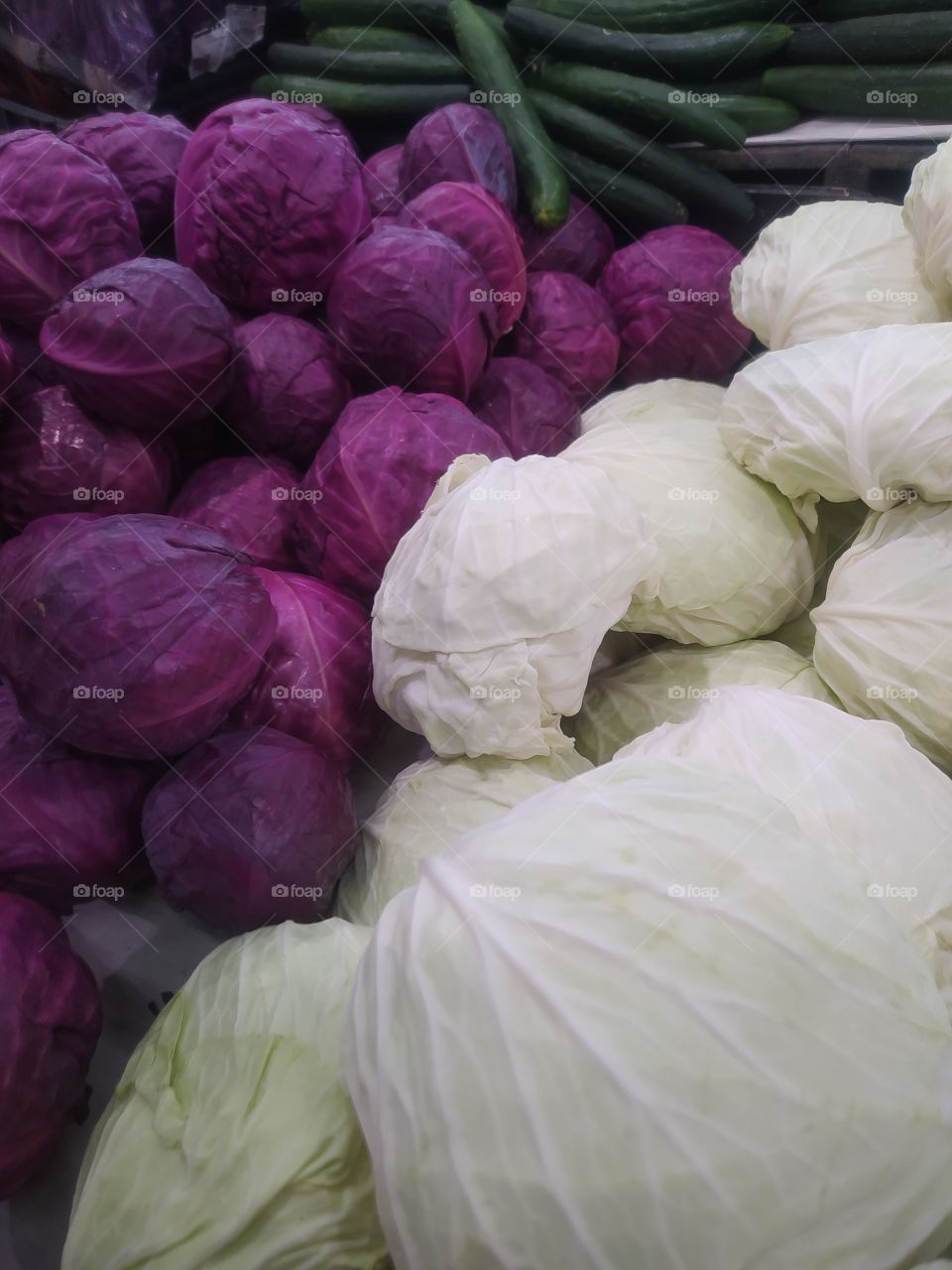 Vegetal utilizado na cozinha em diversas aplicações.