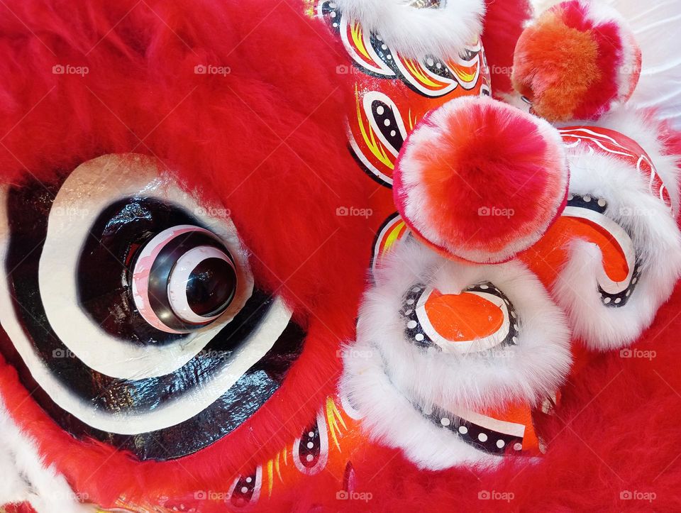 Lion dance's head.