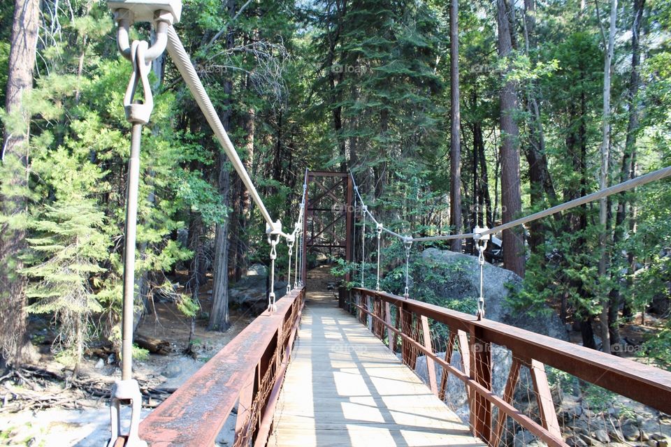 Metal bridge disappears into trees