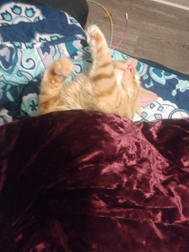 nap