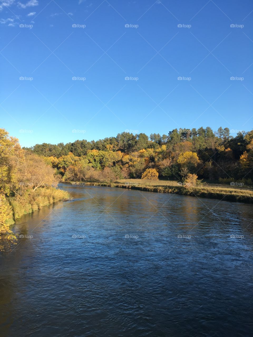 River in the fall