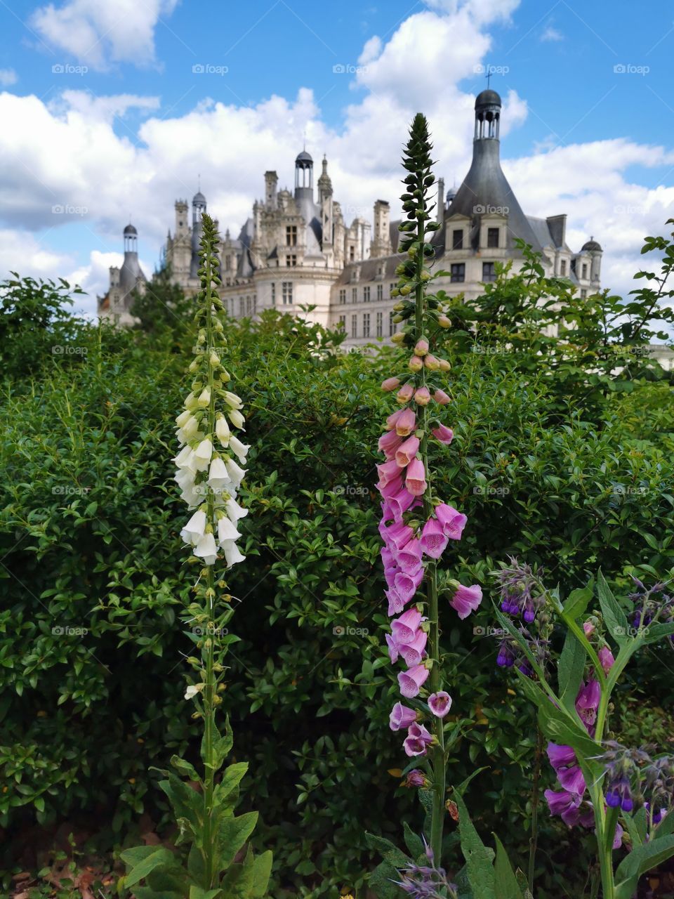 Chambord