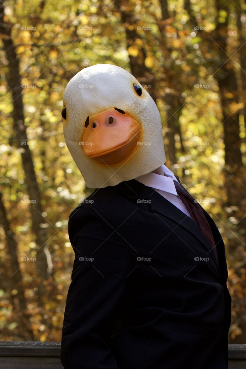 Executive Duckenberg