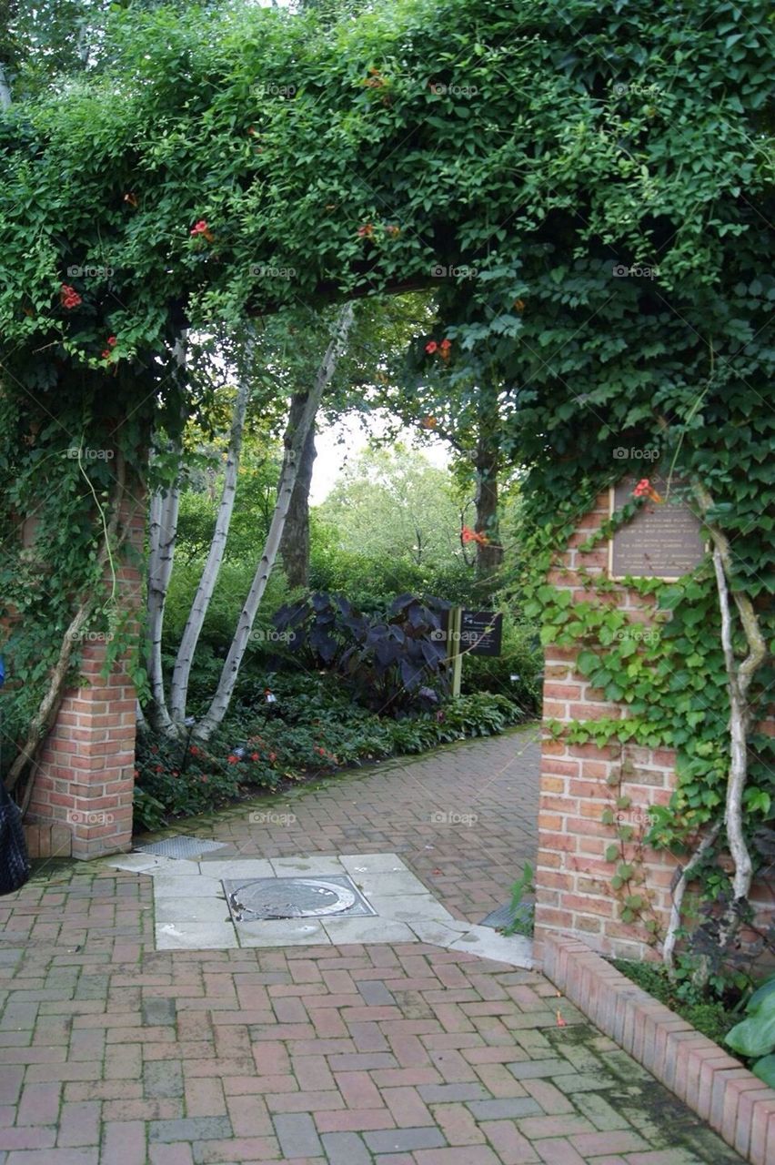 Ivy-Covered Brick Arch