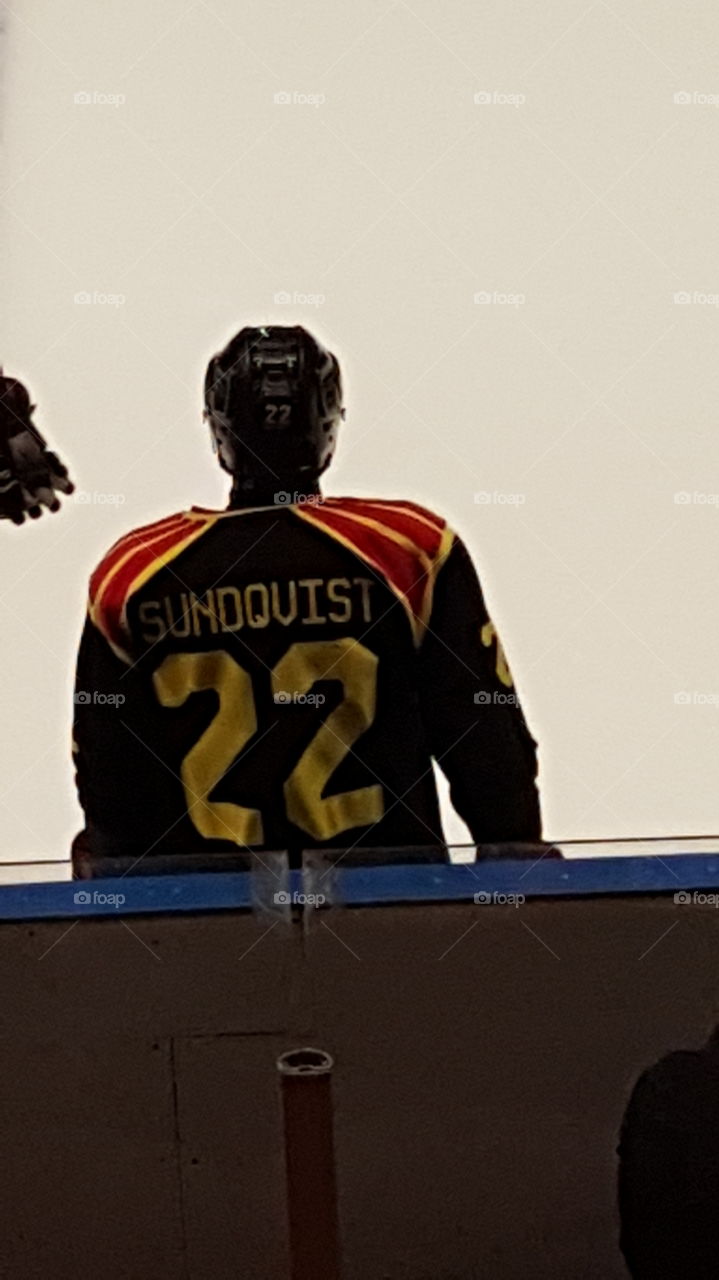 Brynäs IF player