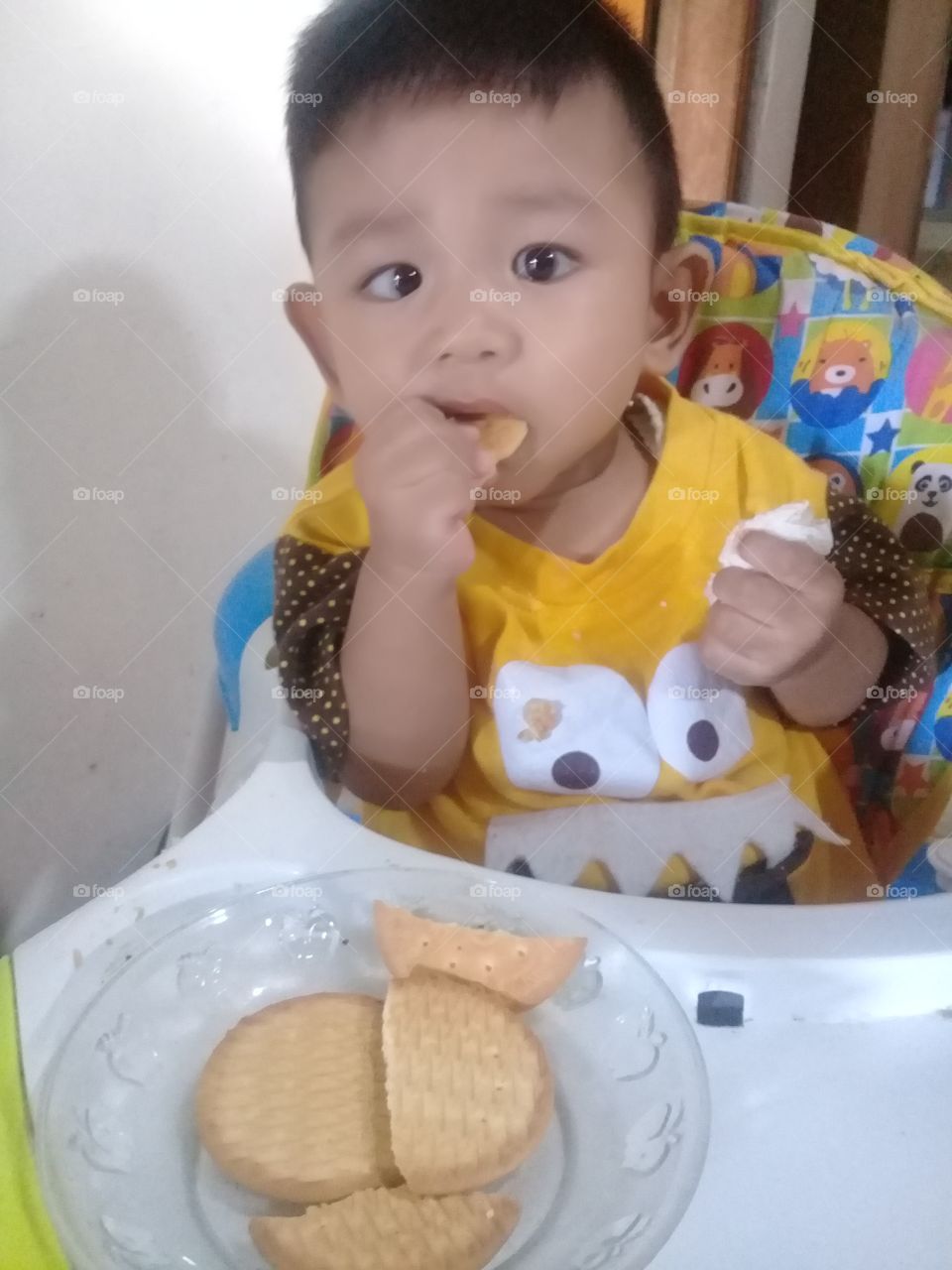 a baby eating biscuit