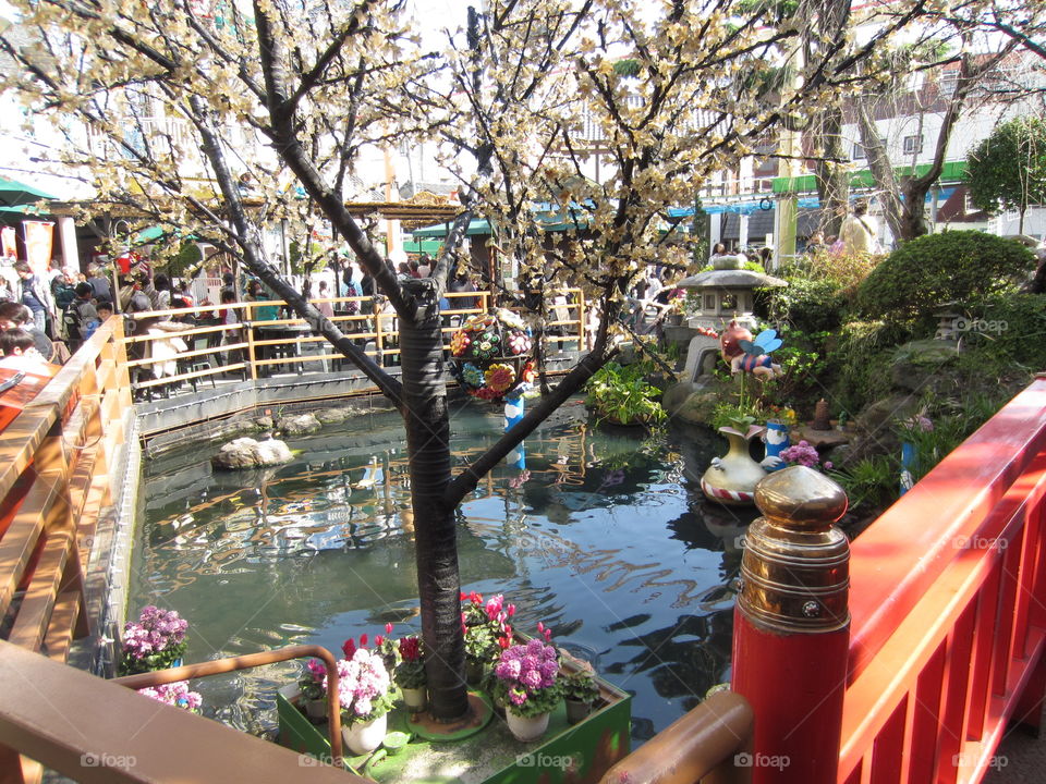 Pond and Trees in Hanayashiki Amusement Park, Tokyo, Japan