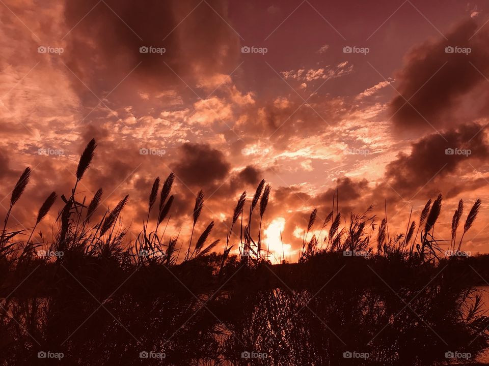 Windy evening clouds swiftly passing the setting Sun the Bubbly background cloud Puffing up before disappearing into the Twilight and signing off to Night. 