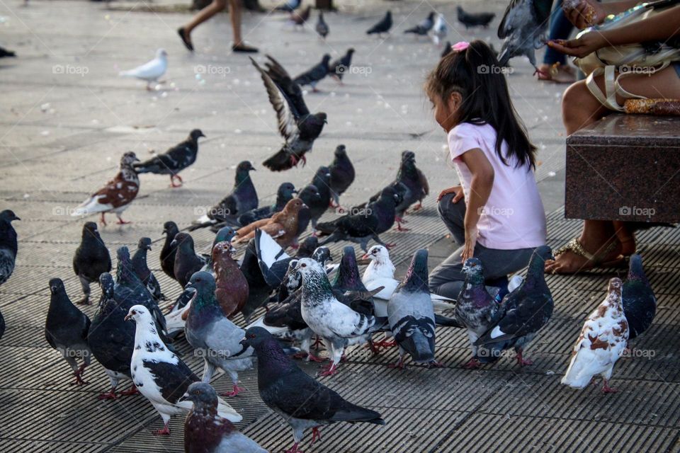 Little girl is feeding pigeons on a city square