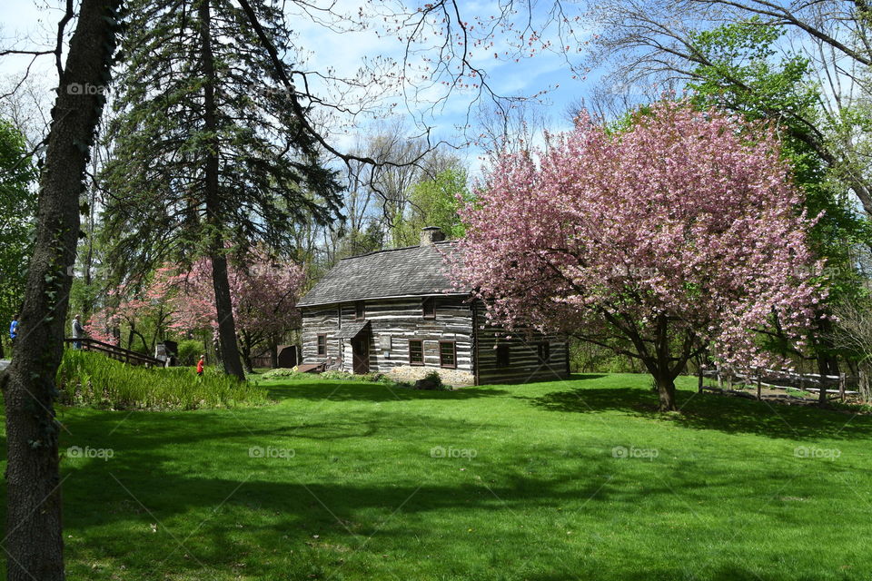 shelter house Emmaus PA springtime