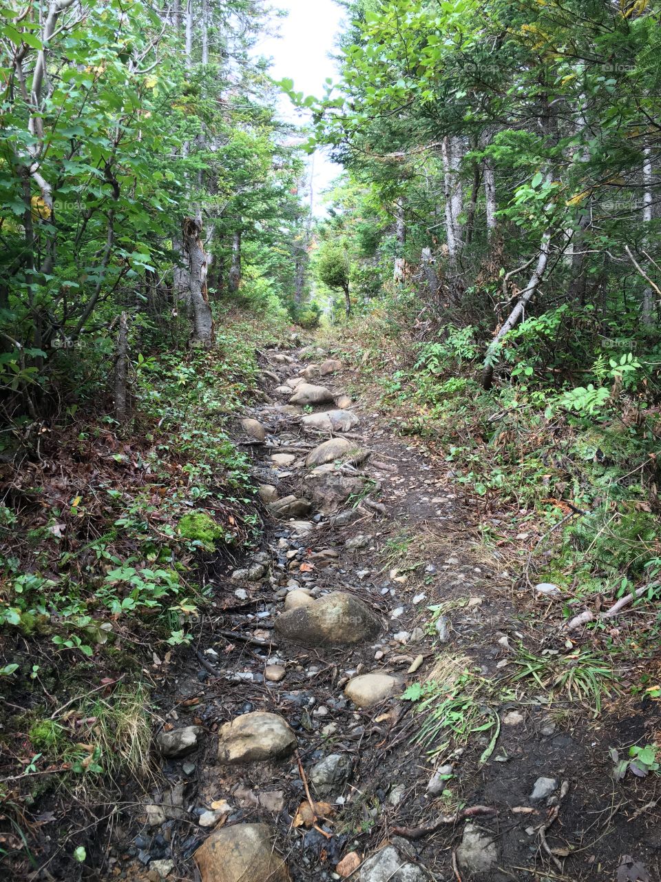 Rocky path 