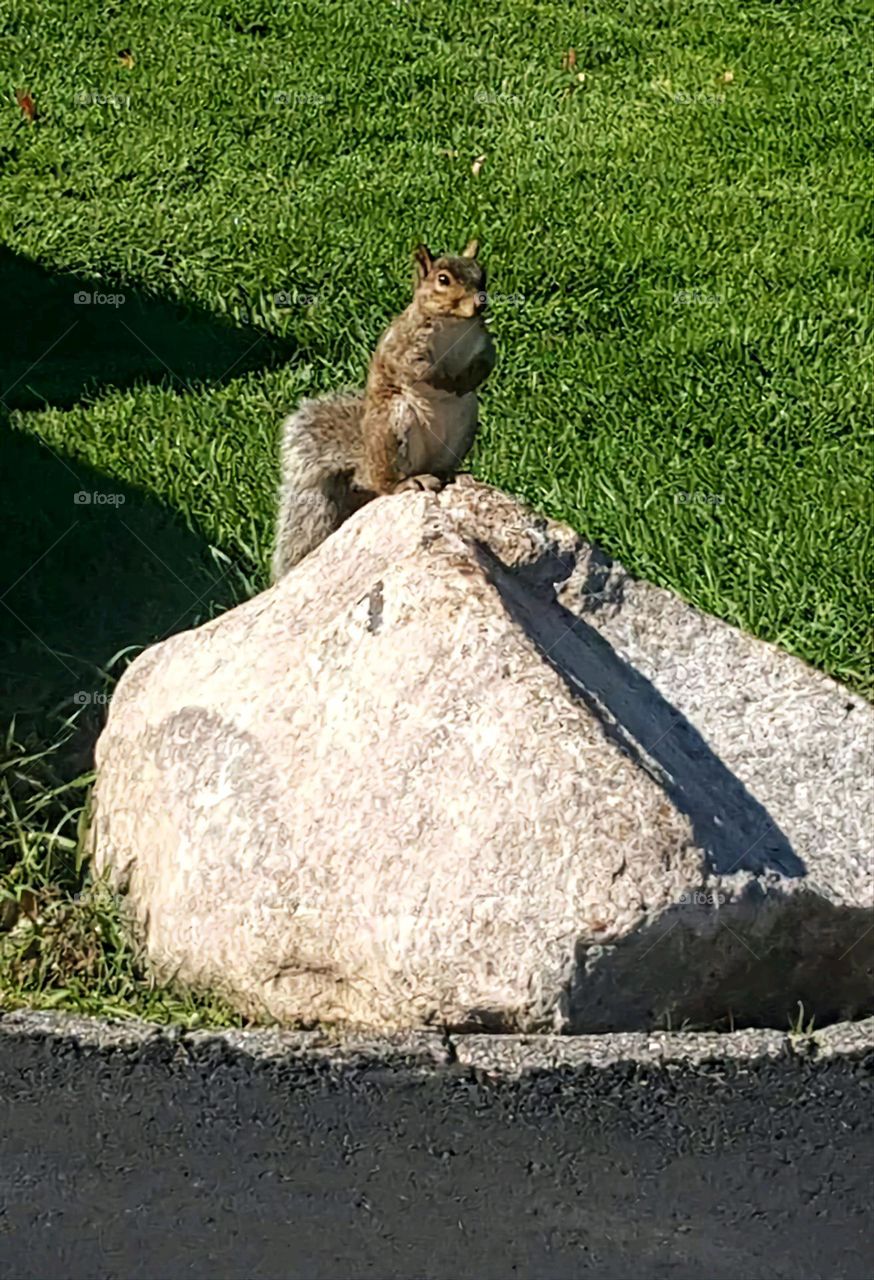 Watching and waiting