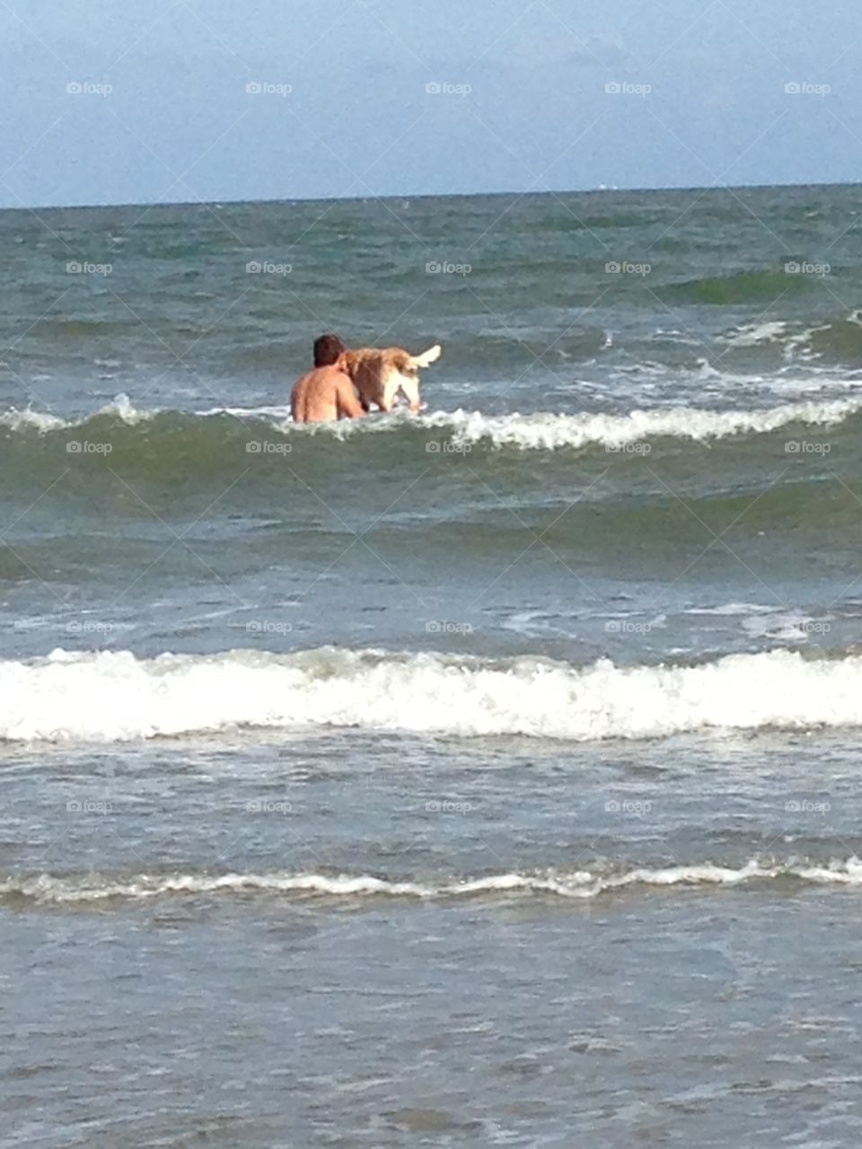 A man taking his dog out for another ride on the surfboard