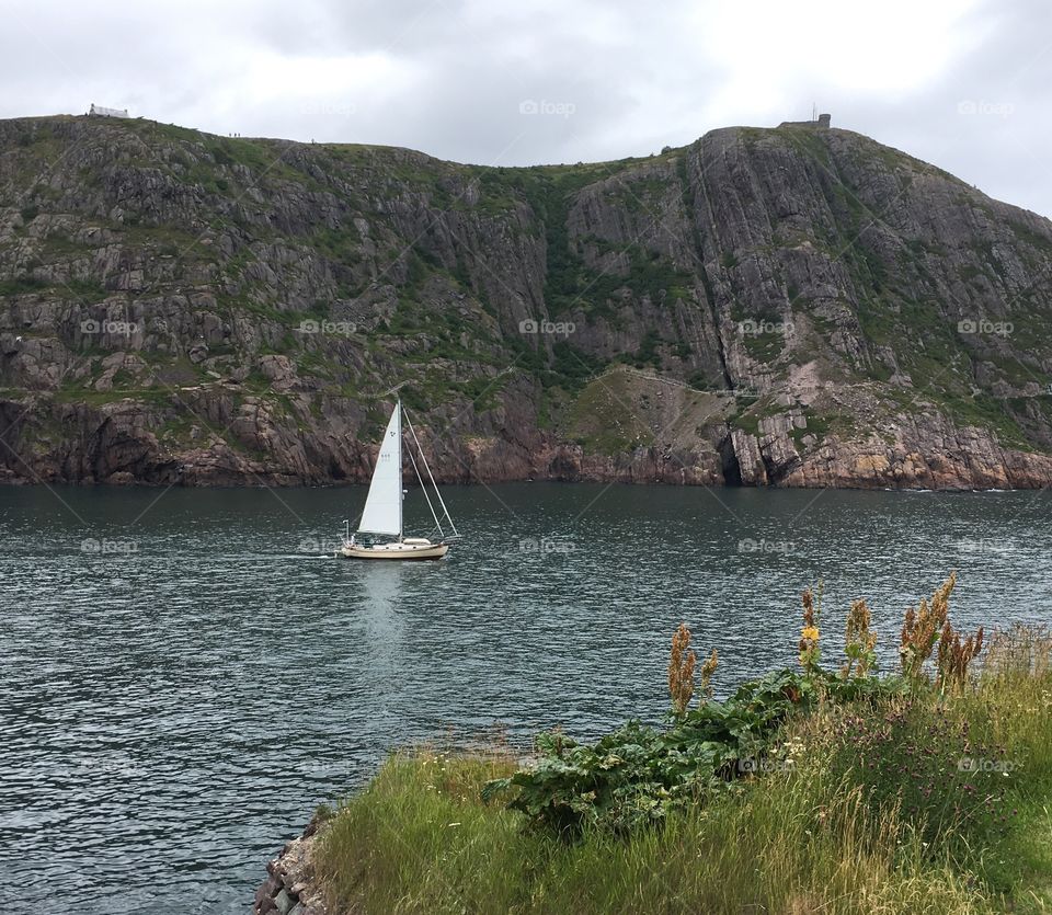 Sailing in St John's