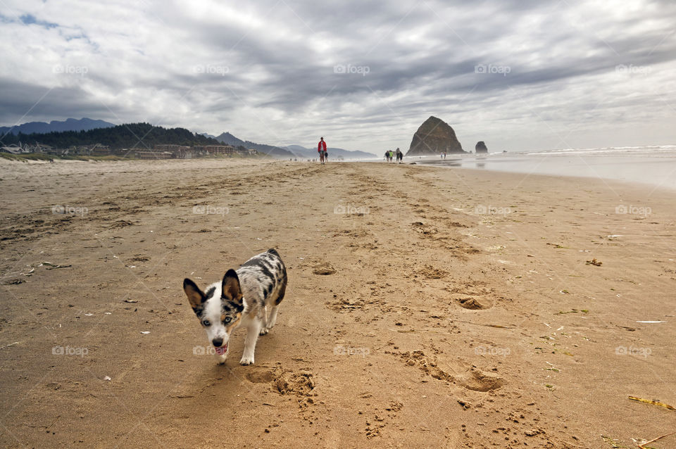 Cannon beach -oregon