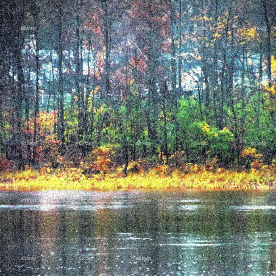 Autumn colors