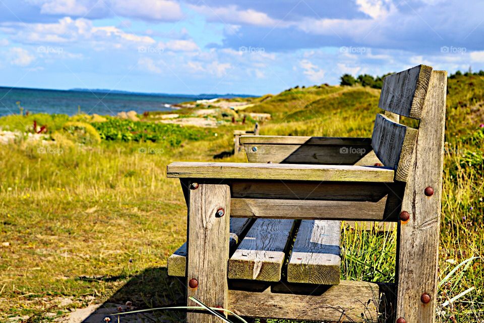 View from a park bench!