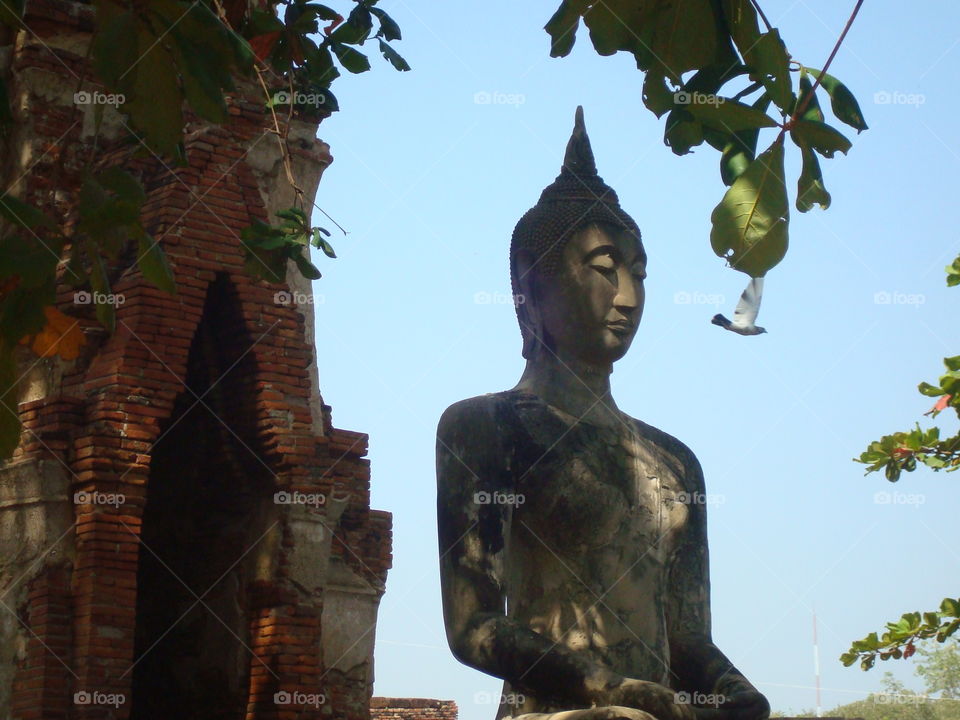 Buddha statue under tree