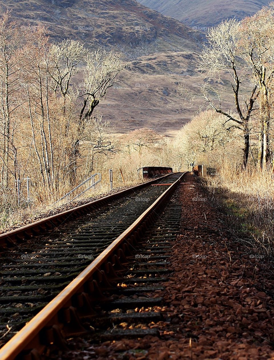 A long way down the track!!