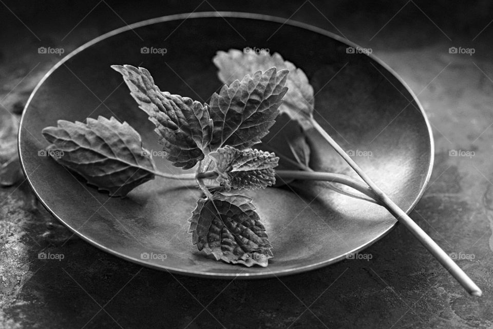 mint leaves on rustic plate