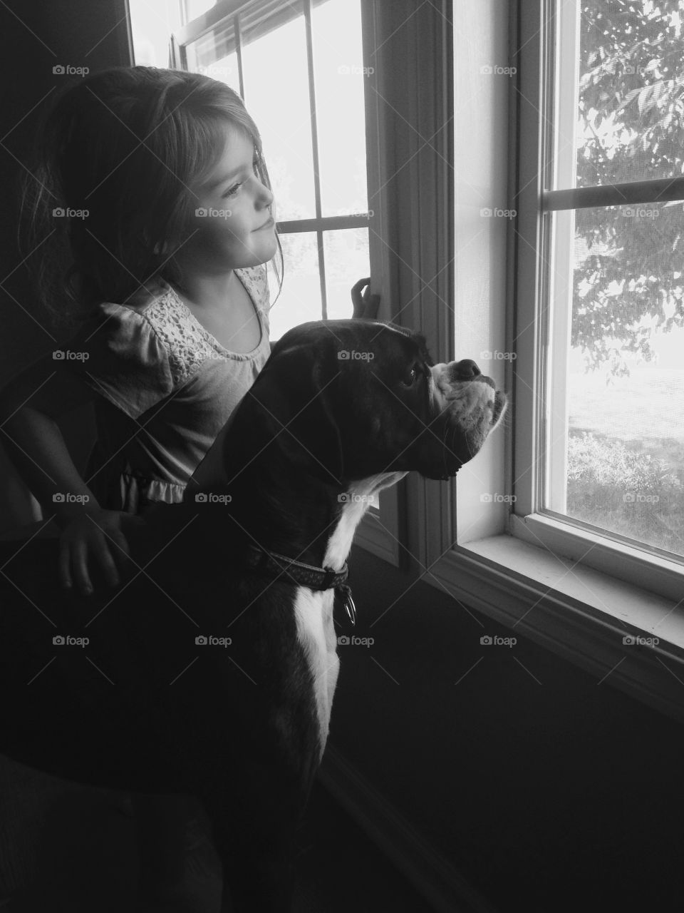 Little girl with dog looking through the window