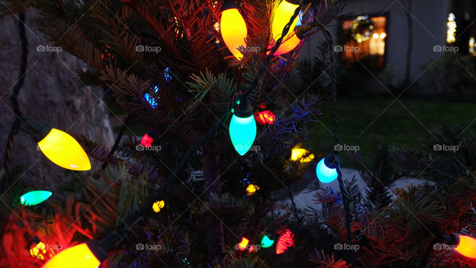 Colored light bulbs for the holidays