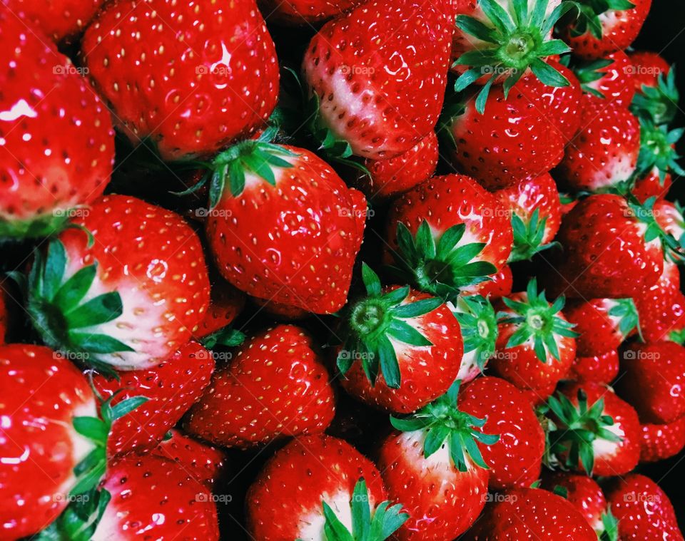 Fresh Strawberries .