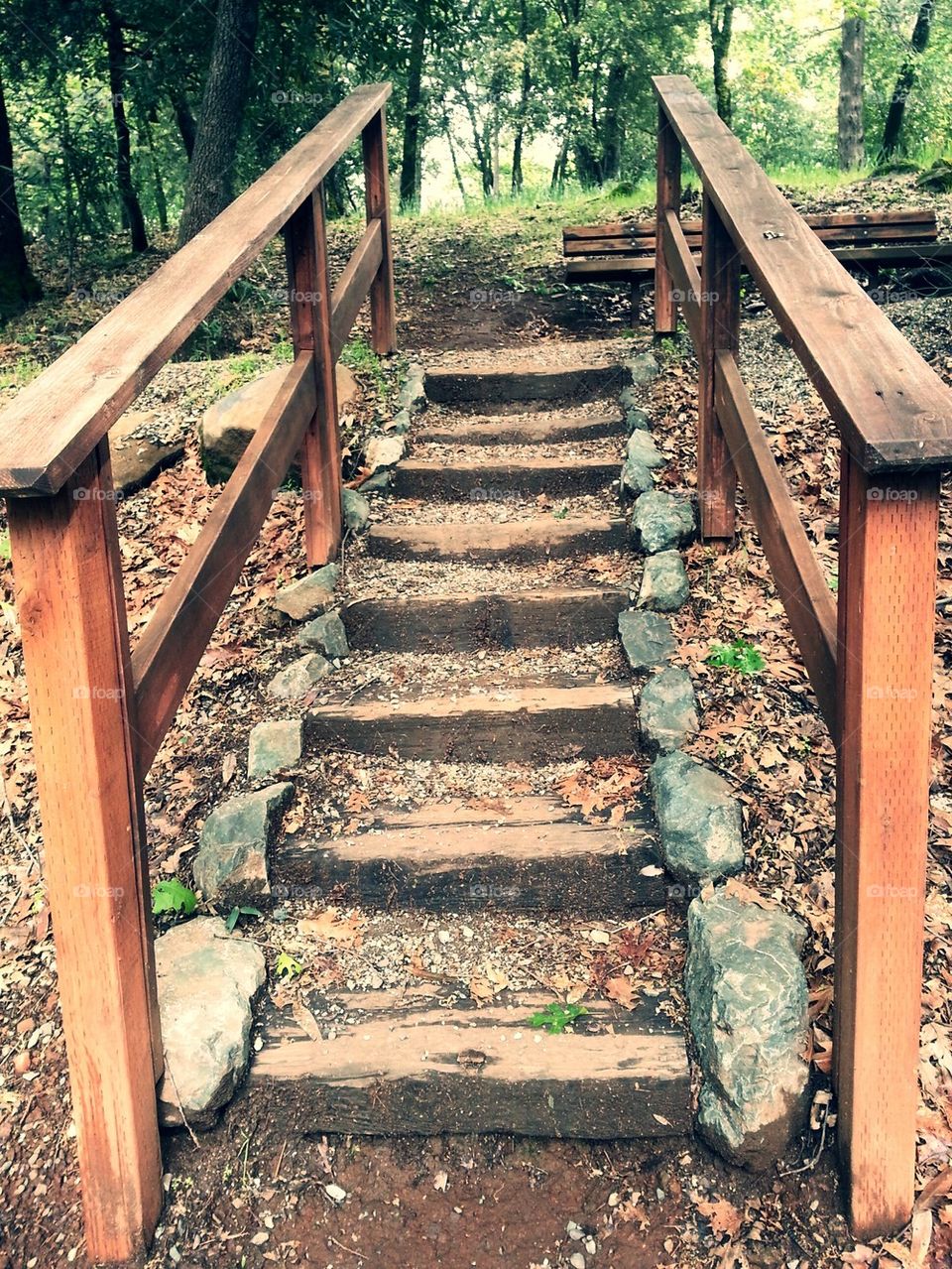 stairway to the Park