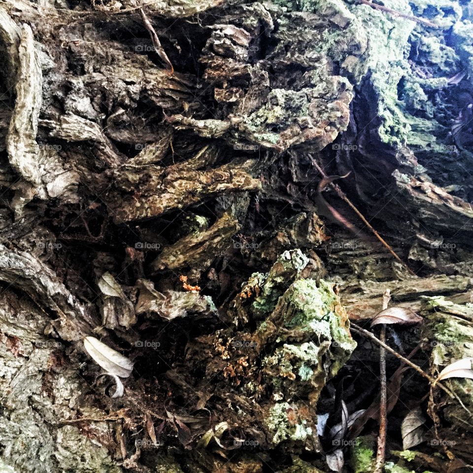 Part two of delightful walk in the countryside...