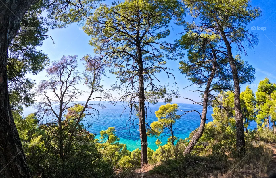 This picture represents a wonderful landscape of a blue sea