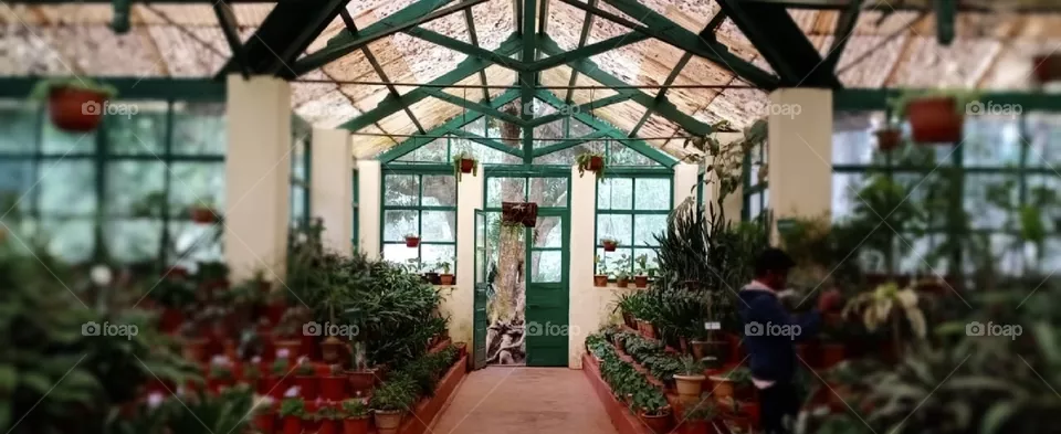 botanical garden